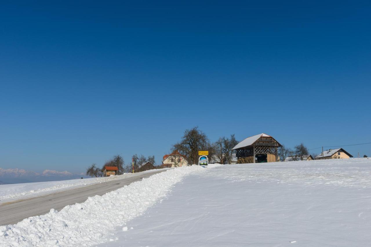 Holiday Home Ernest Zelezni With Hot Tub Ivancna Gorica Luaran gambar